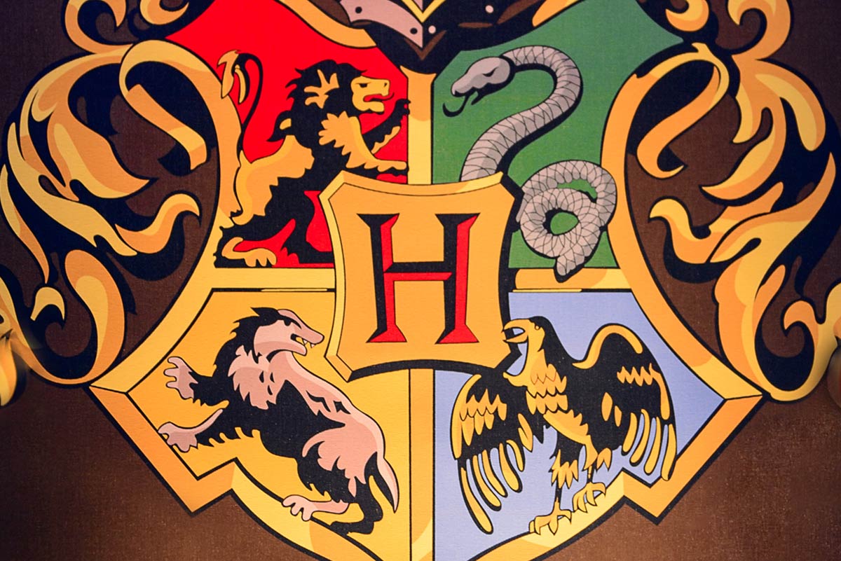 The Hogwarts Houses Get Sorted into the 4 Energy Types
