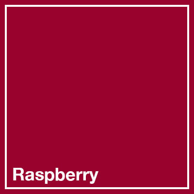 Raspberry square